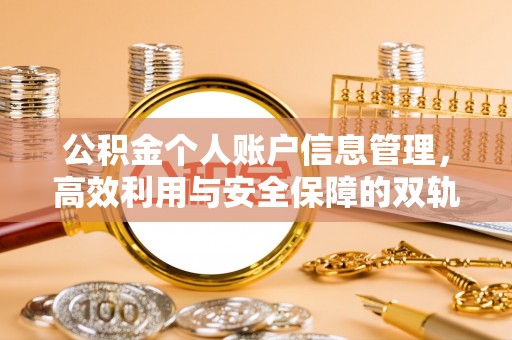 琅琊公积金个人账户信息管理，高效利用与安全保障的双轨并行