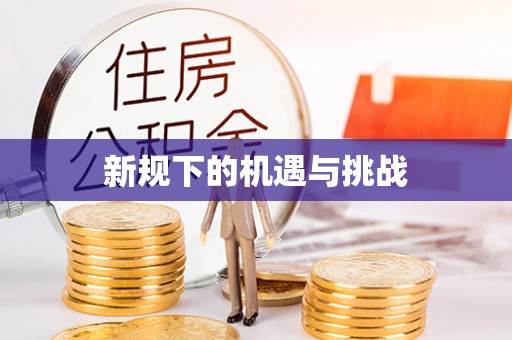 琅琊新规下的机遇与挑战