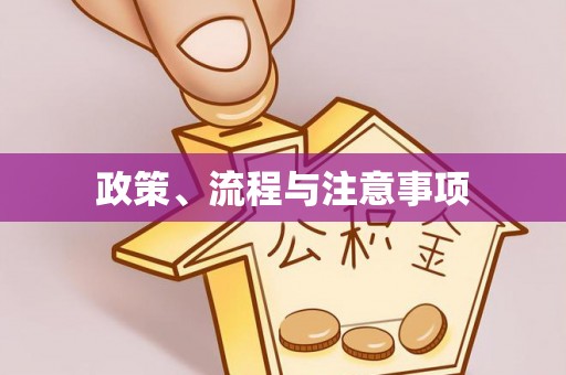 琅琊政策、流程与注意事项