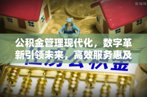 琅琊公积金管理现代化，数字革新引领未来，高效服务惠及民生