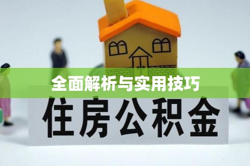 琅琊全面解析与实用技巧