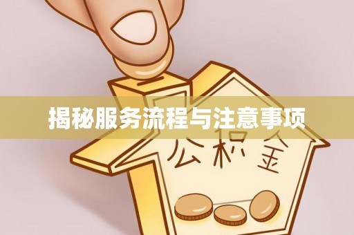 琅琊揭秘服务流程与注意事项