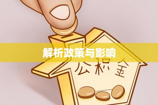 琅琊解析政策与影响