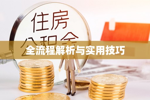 琅琊全流程解析与实用技巧