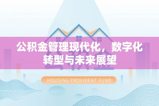 琅琊公积金管理现代化，数字化转型与未来展望