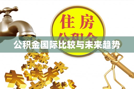 琅琊公积金国际比较与未来趋势