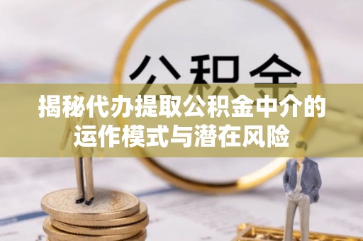 琅琊揭秘代办提取公积金中介的运作模式与潜在风险