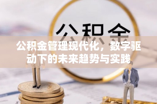 琅琊公积金管理现代化，数字驱动下的未来趋势与实践