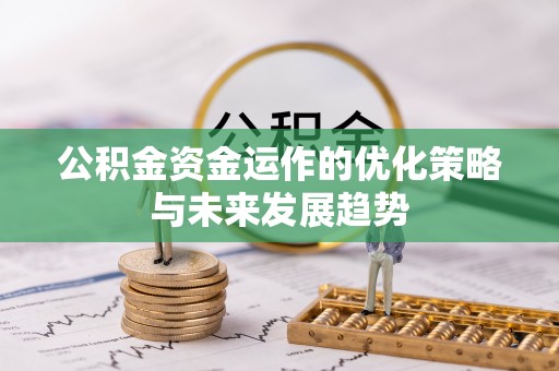 琅琊公积金资金运作的优化策略与未来发展趋势