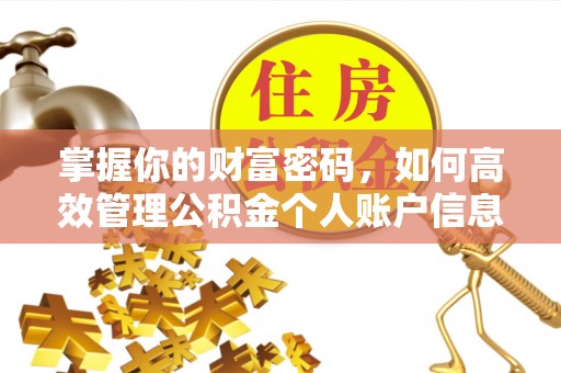 琅琊掌握你的财富密码，如何高效管理公积金个人账户信息