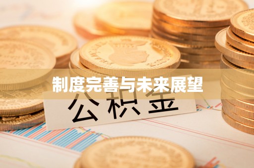 琅琊制度完善与未来展望