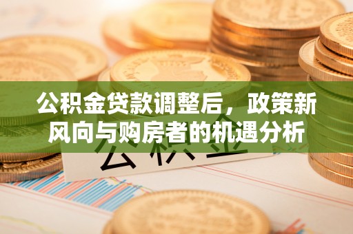 琅琊公积金贷款调整后，政策新风向与购房者的机遇分析