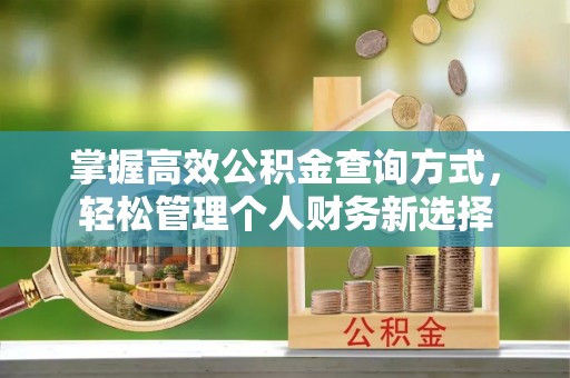 琅琊掌握高效公积金查询方式，轻松管理个人财务新选择