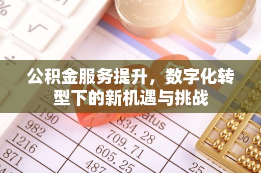 琅琊公积金服务提升，数字化转型下的新机遇与挑战