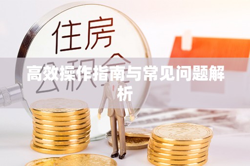 琅琊高效操作指南与常见问题解析
