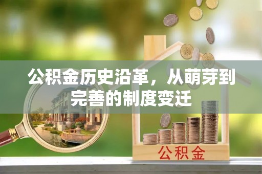 琅琊公积金历史沿革，从萌芽到完善的制度变迁