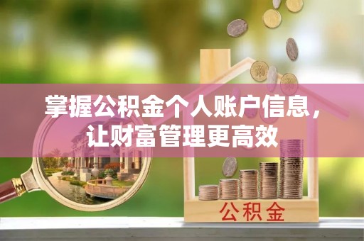 琅琊掌握公积金个人账户信息，让财富管理更高效