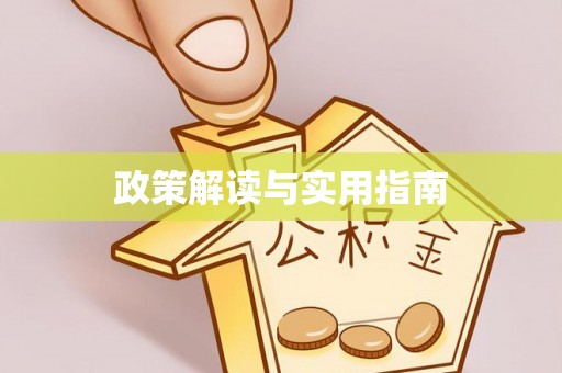 琅琊政策解读与实用指南