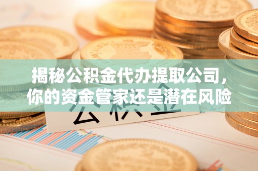 琅琊揭秘公积金代办提取公司，你的资金管家还是潜在风险？