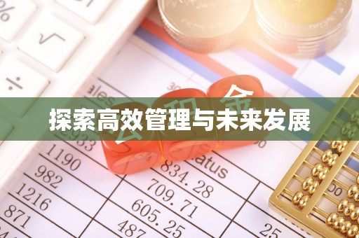 琅琊探索高效管理与未来发展