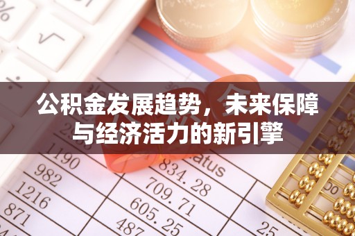 琅琊公积金发展趋势，未来保障与经济活力的新引擎