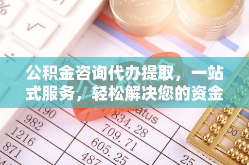琅琊公积金咨询代办提取，一站式服务，轻松解决您的资金需求