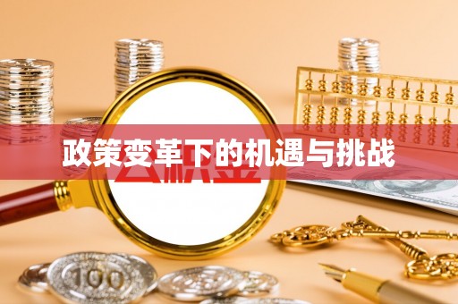 琅琊政策变革下的机遇与挑战