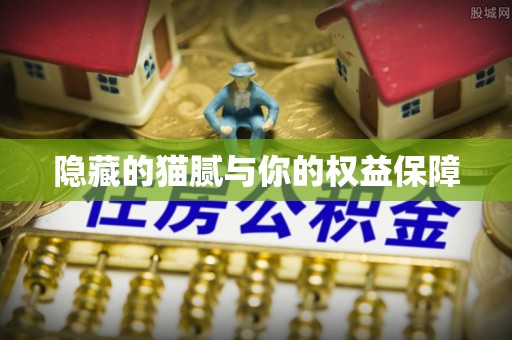琅琊隐藏的猫腻与你的权益保障