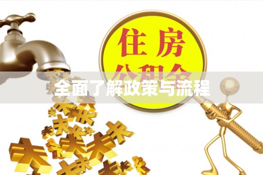 琅琊全面了解政策与流程