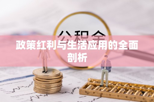 琅琊政策红利与生活应用的全面剖析