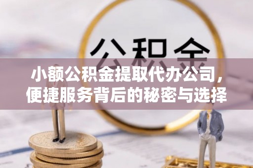 琅琊小额公积金提取代办公司，便捷服务背后的秘密与选择指南