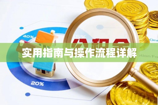 琅琊实用指南与操作流程详解