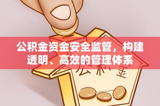 琅琊公积金资金安全监管，构建透明、高效的管理体系