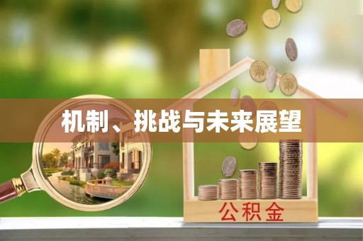 琅琊机制、挑战与未来展望