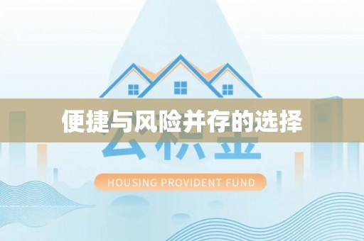 琅琊便捷与风险并存的选择