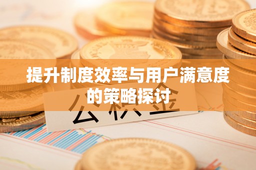 琅琊提升制度效率与用户满意度的策略探讨